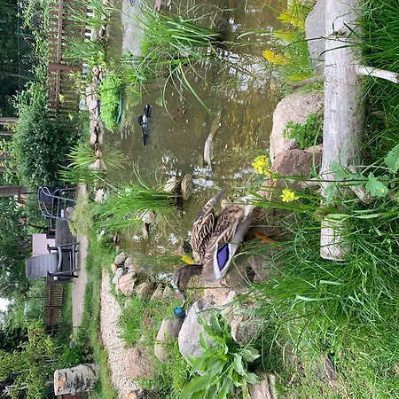 Willgeroth Apartment Ilsenburg (Harz)