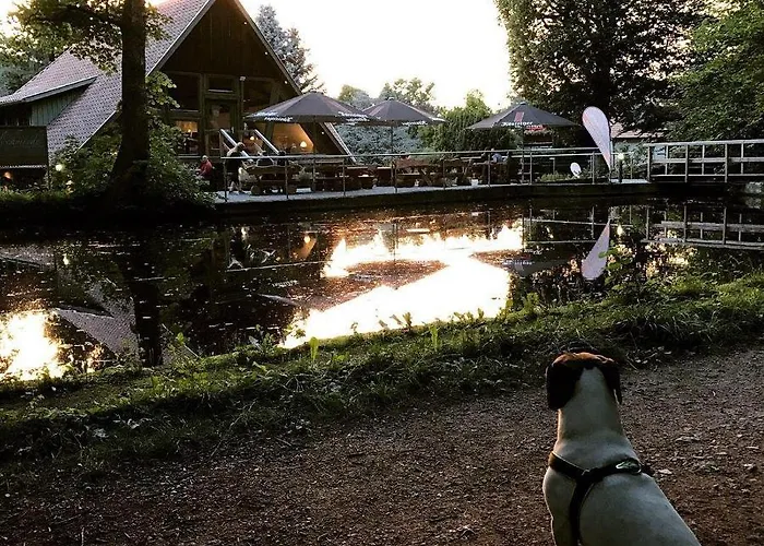 Ferienwohnung-willgeroth