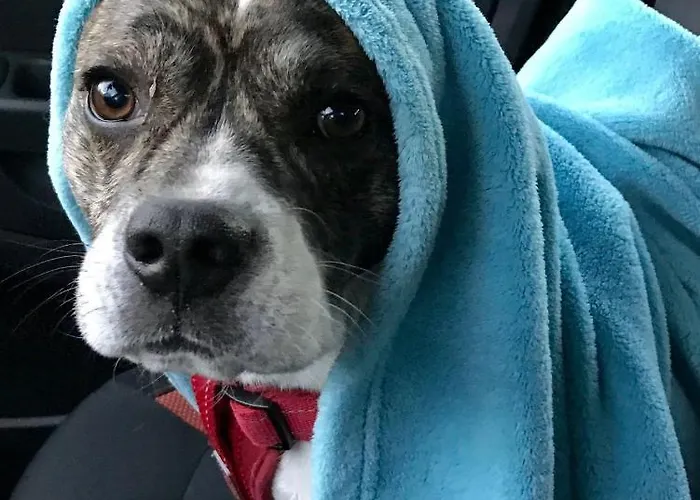 Ferienwohnung-willgeroth