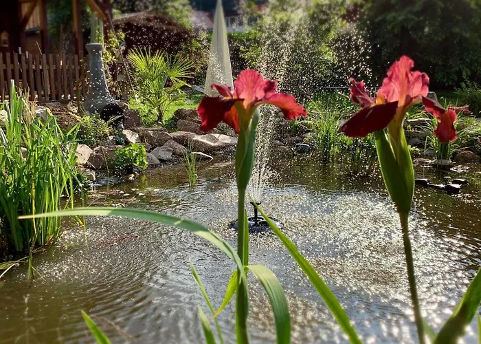 Ferienwohnung-willgeroth Apartmán *