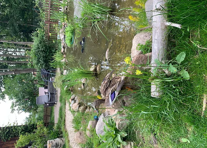 Ferienwohnung-willgeroth Apartmán Ilsenburg